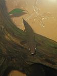 IMG 4772