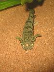 IMG 4776