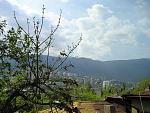 P1010021
