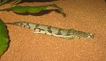 IMG 4774