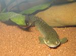 IMG 4610