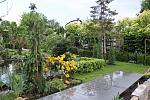IMG 3086