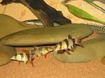 IMG 4874