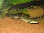 IMG 4607