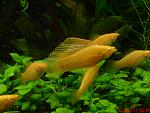DSC00140