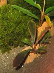 IMG 4988