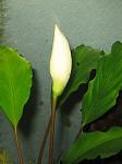 IMG 4897