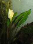 IMG 4956