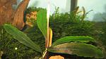IMG 4958