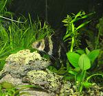 ����������