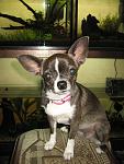 IMG 4881