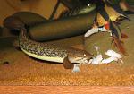 IMG 5183