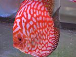 IMG 6391