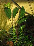 IMG 5168