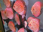 IMG 6582
