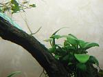 IMG 5040
