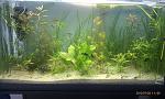 IMAG0102