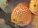 IMG 6576