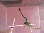 IMG 3296