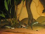 IMG 5192