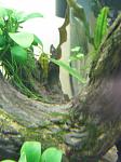 IMG 5038