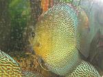 IMG 6573