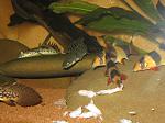 IMG 5184