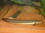 IMG 5128