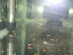 DSCF2034[1]
