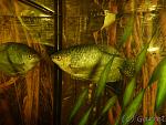 Image00006