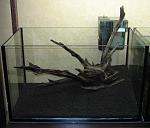 IMG 4502
