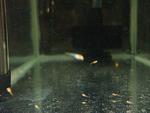 DSCF2047[1]