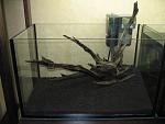 IMG 4496