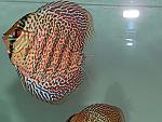 DSCN3709