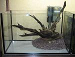 IMG 4491