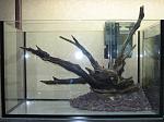 IMG 4492