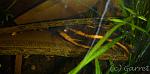 Image00003