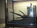 IMG 4497