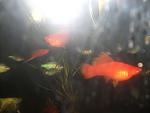 DSCF2068[1]