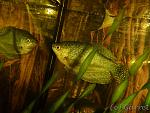 Image00005