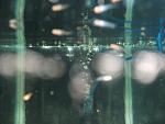 DSCF2061[1]