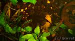 Image00010