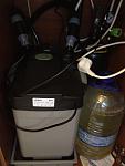 100APPLE IMG 0563