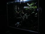 IMG 3245