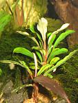 IMG 5478