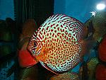 user853 pic26663 1271411879