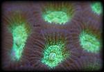 DSCN0878