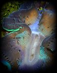 DSCN0901