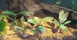 IMG 5591