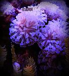 DSCN0463